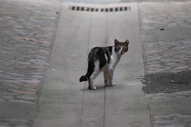 恋人から友達になる,恋愛,復縁,注意,CanCam,モテトコ