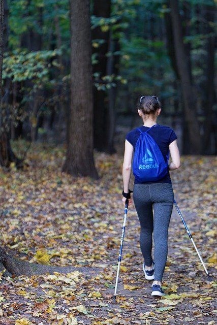 恋愛できない女,欠落,取材,理由,特徴,アセクシュアル