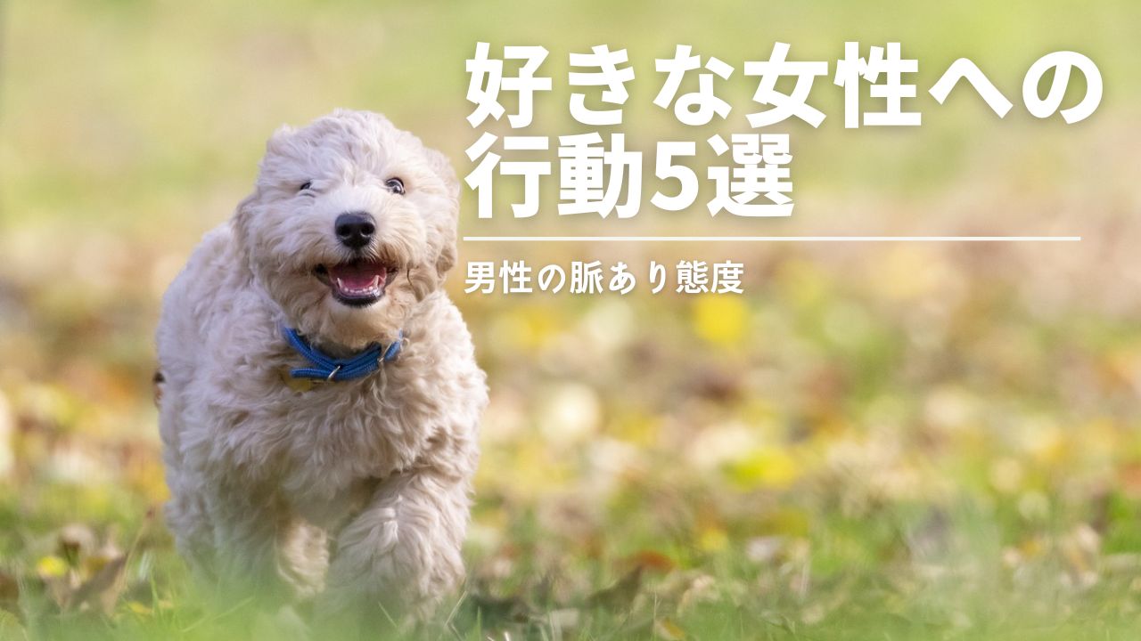 脈ありサイン,男性,態度,行動,好意,決定