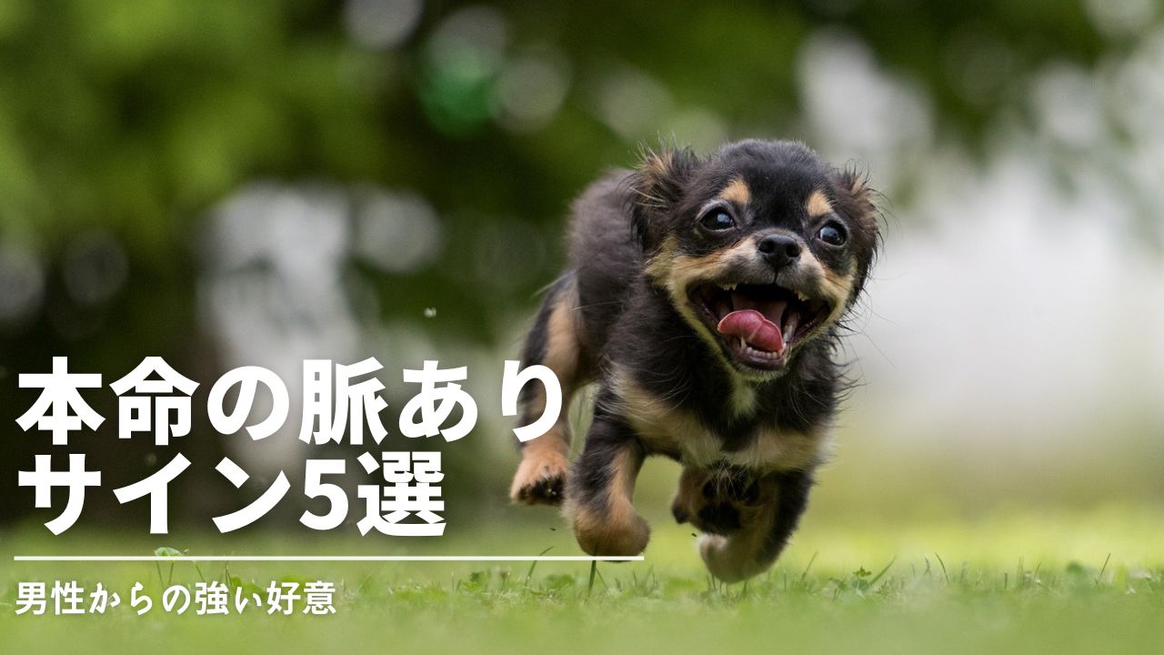 脈ありサイン,男性,態度,行動,好意,決定