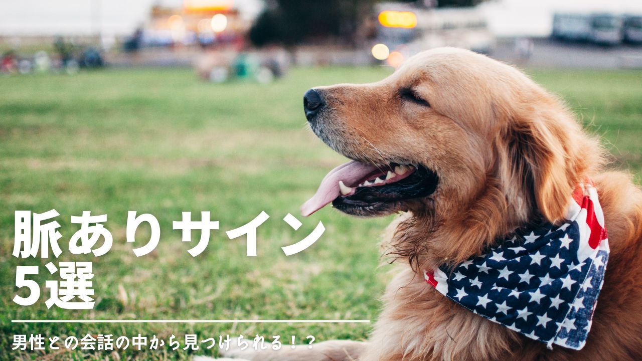 脈ありサイン,男性,態度,行動,好意,決定