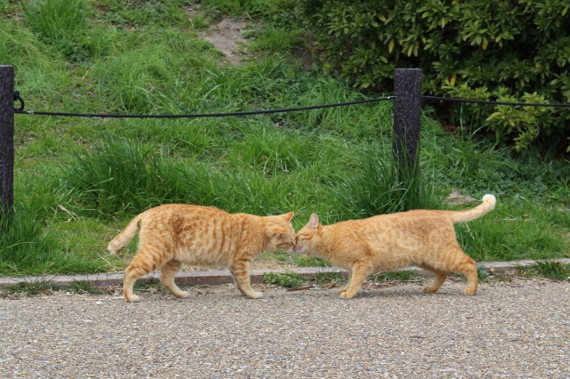 彼氏ができない,診断,理由,恋愛,原因,対策,なぜ